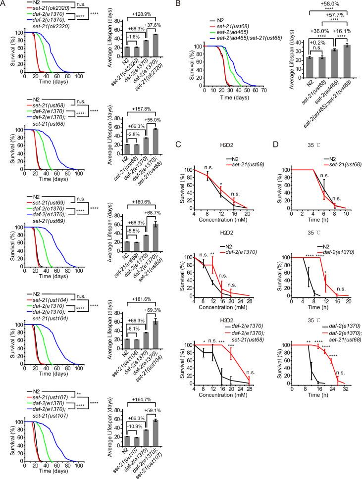 https://cdn.ncbi.nlm.nih.gov/pmc/blobs/0e6e/9514849/40b9754a21e9/elife-74812-fig1.jpg