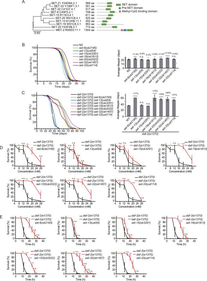 https://cdn.ncbi.nlm.nih.gov/pmc/blobs/0e6e/9514849/7a9638bad30b/elife-74812-fig3.jpg
