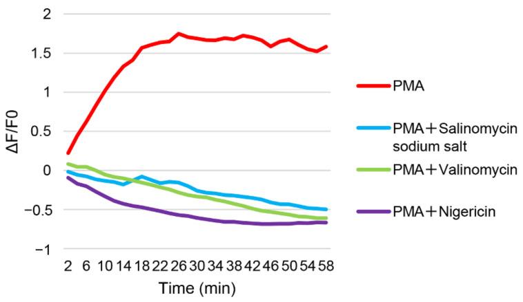 https://cdn.ncbi.nlm.nih.gov/pmc/blobs/0e84/9415497/3ce54b10541f/viruses-14-01734-g004.jpg