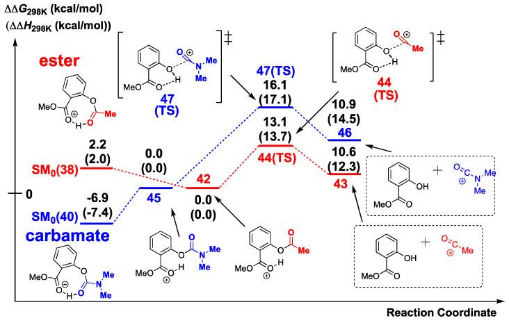 https://cdn.ncbi.nlm.nih.gov/pmc/blobs/0e8a/9503166/45dbff090ade/molecules-27-05984-sch012.jpg