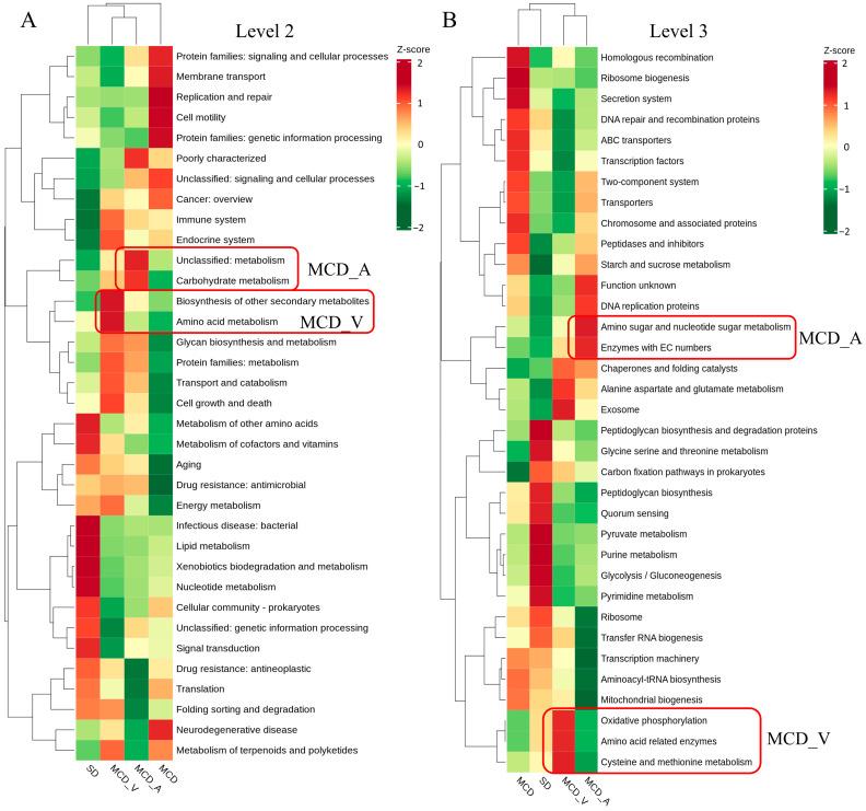 https://cdn.ncbi.nlm.nih.gov/pmc/blobs/0e94/11124503/dae67fd882d6/microorganisms-12-01020-g006.jpg