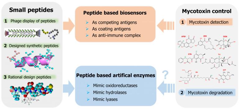 https://cdn.ncbi.nlm.nih.gov/pmc/blobs/0e9b/9698726/0f47422d96ec/toxins-14-00795-g001.jpg