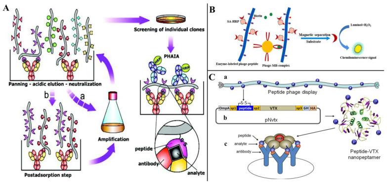 https://cdn.ncbi.nlm.nih.gov/pmc/blobs/0e9b/9698726/e04c409d4d92/toxins-14-00795-g007.jpg