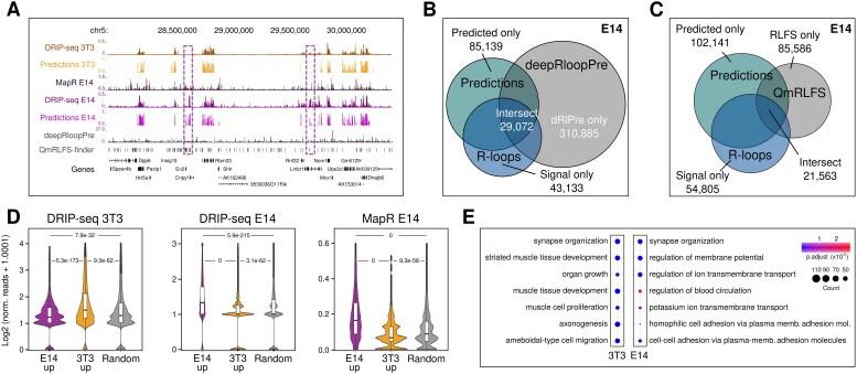 https://cdn.ncbi.nlm.nih.gov/pmc/blobs/0e9c/12153340/0d5442969255/lqaf077fig3.jpg