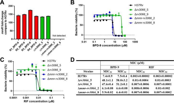 https://cdn.ncbi.nlm.nih.gov/pmc/blobs/0ea7/11537118/10e324b839e6/spectrum.01246-24.f008.jpg