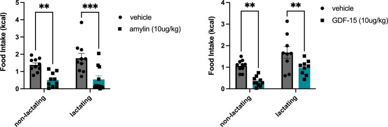 https://cdn.ncbi.nlm.nih.gov/pmc/blobs/0ec9/11268337/8420f5150296/figs2.jpg
