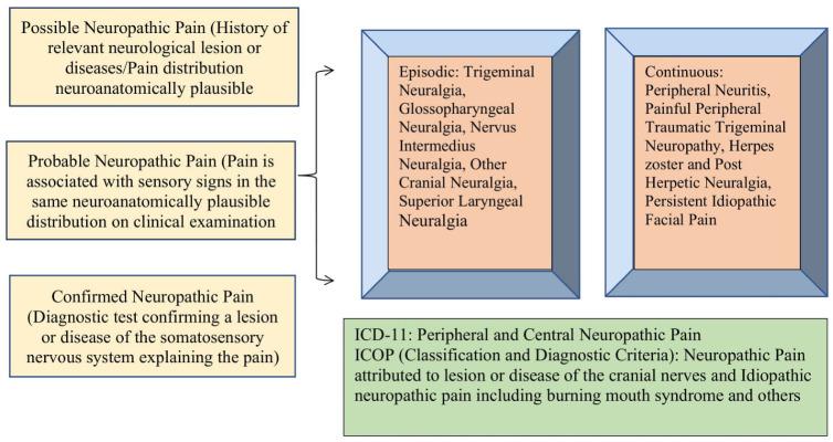 https://cdn.ncbi.nlm.nih.gov/pmc/blobs/0ed5/9735968/9a16fccd976c/cells-11-03842-g001.jpg