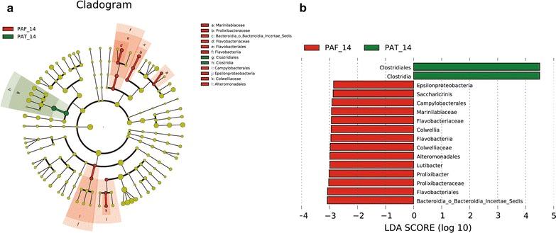 https://cdn.ncbi.nlm.nih.gov/pmc/blobs/0edb/5858143/1dbbe5e00b04/12941_2018_264_Fig4_HTML.jpg