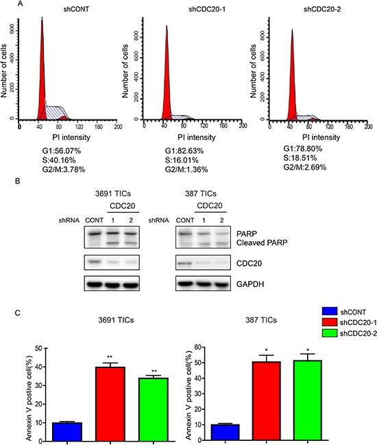 https://cdn.ncbi.nlm.nih.gov/pmc/blobs/0ef2/4537011/4ffce80e5d8a/oncotarget-06-13241-g003.jpg