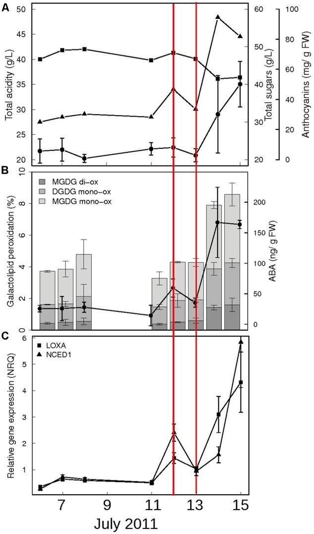https://cdn.ncbi.nlm.nih.gov/pmc/blobs/0f10/5479058/c16b891195bd/fpls-08-01093-g001.jpg