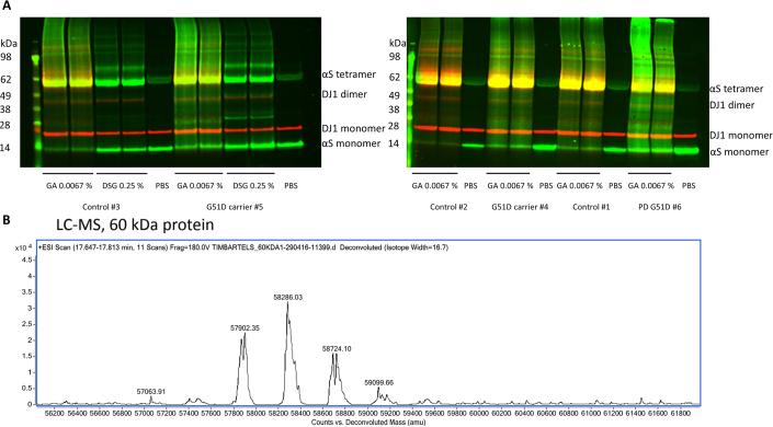 https://cdn.ncbi.nlm.nih.gov/pmc/blobs/0f12/11250827/af9638c9a005/44321_2024_83_Fig5_ESM.jpg