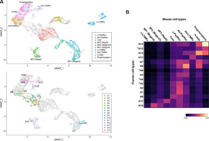 https://cdn.ncbi.nlm.nih.gov/pmc/blobs/0f17/8626086/24196322cfbf/elife-71752-fig3.jpg