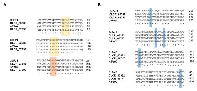 https://cdn.ncbi.nlm.nih.gov/pmc/blobs/0f19/10382037/666d8a473b66/jof-09-00727-g003.jpg