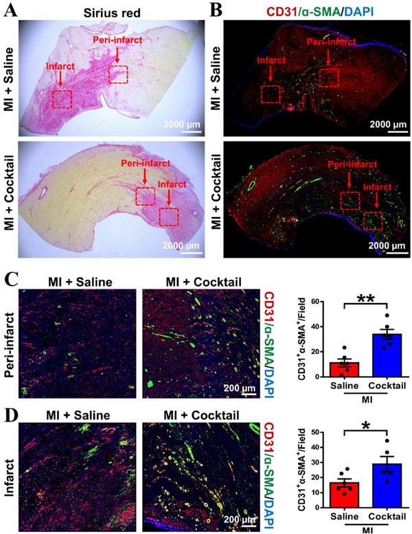 https://cdn.ncbi.nlm.nih.gov/pmc/blobs/0f1a/11189571/b967e73836ff/EXP2-4-20230067-g005.jpg