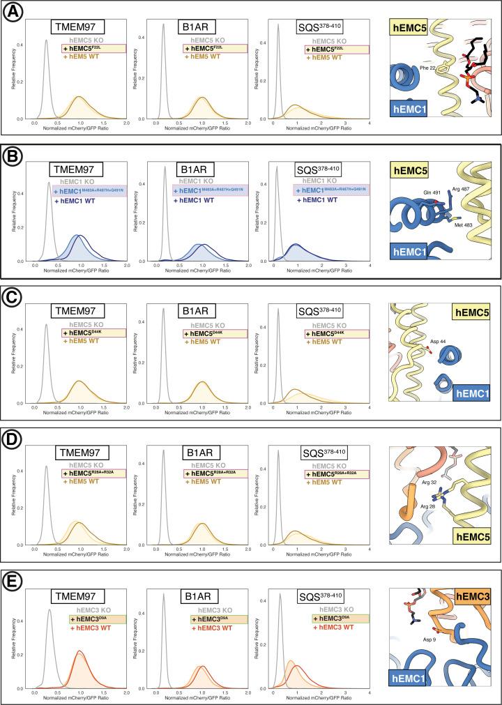 https://cdn.ncbi.nlm.nih.gov/pmc/blobs/0f2b/7785296/1045e30d961e/elife-62611-fig6-figsupp2.jpg