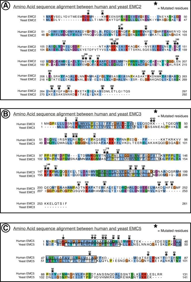 https://cdn.ncbi.nlm.nih.gov/pmc/blobs/0f2b/7785296/612b24933ff2/elife-62611-fig1-figsupp8.jpg