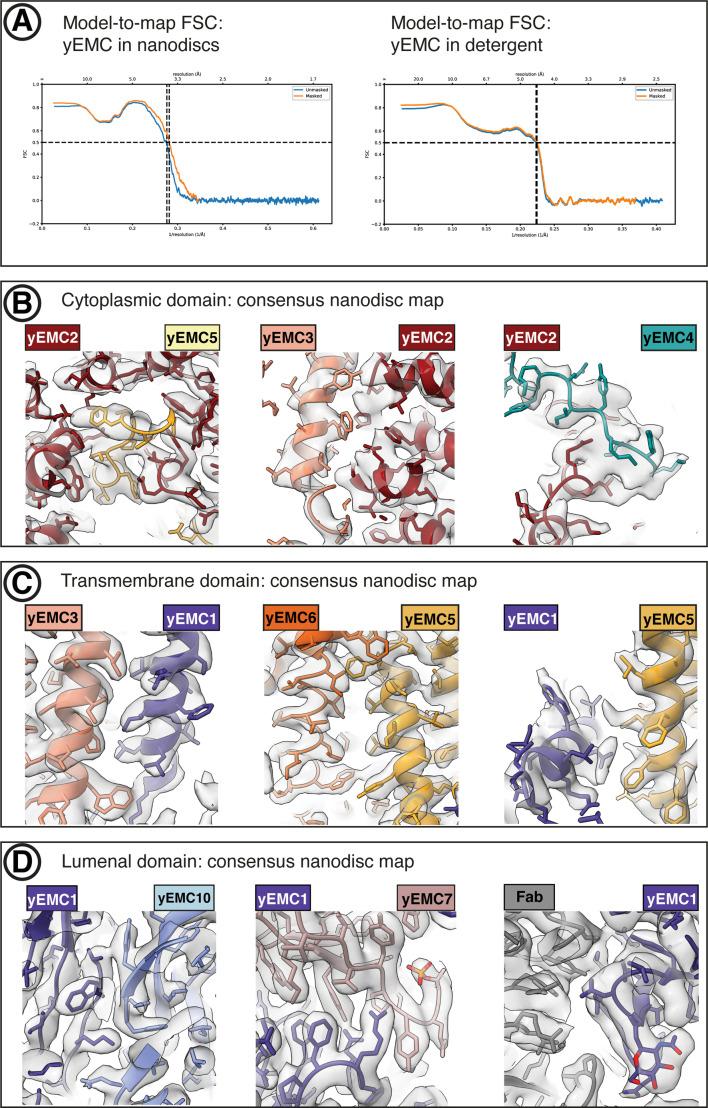 https://cdn.ncbi.nlm.nih.gov/pmc/blobs/0f2b/7785296/6c20a3ef7401/elife-62611-fig2-figsupp5.jpg