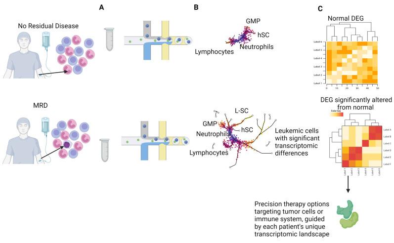 https://cdn.ncbi.nlm.nih.gov/pmc/blobs/0f67/10177286/f4ef5580936b/cancers-15-02477-g004.jpg