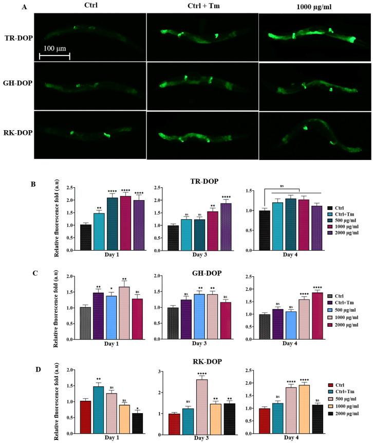 https://cdn.ncbi.nlm.nih.gov/pmc/blobs/0f7a/10301227/497a697204ef/nutrients-15-02641-g003.jpg