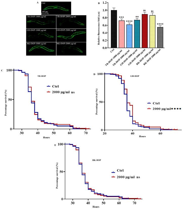 https://cdn.ncbi.nlm.nih.gov/pmc/blobs/0f7a/10301227/9efa03f331a0/nutrients-15-02641-g004.jpg