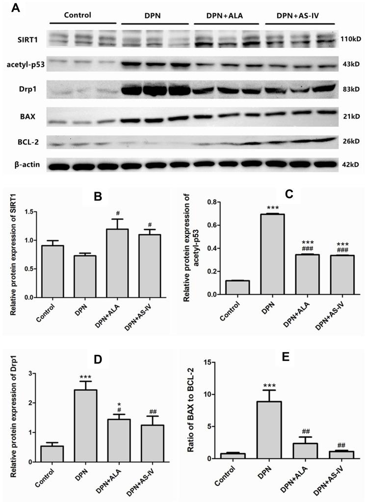 https://cdn.ncbi.nlm.nih.gov/pmc/blobs/0f9e/8055373/8bda6a8b25bc/DMSO-14-1647-g0010.jpg