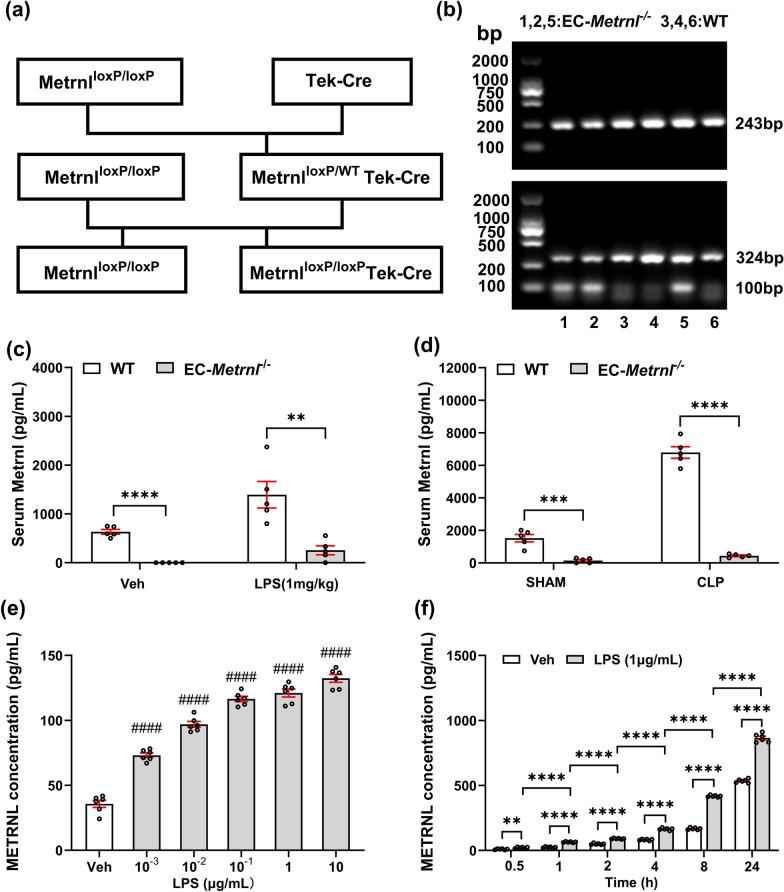 https://cdn.ncbi.nlm.nih.gov/pmc/blobs/0fa2/11983927/15dacf2b853d/40560_2025_780_Fig4_HTML.jpg