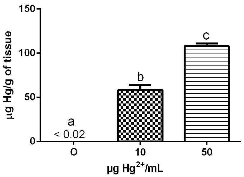 https://cdn.ncbi.nlm.nih.gov/pmc/blobs/0fbe/9696705/33839e5619d6/toxics-10-00664-g002.jpg