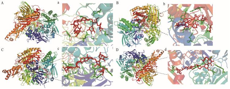 https://cdn.ncbi.nlm.nih.gov/pmc/blobs/0fd6/10745721/dd1a722140a7/molecules-28-08116-g008.jpg