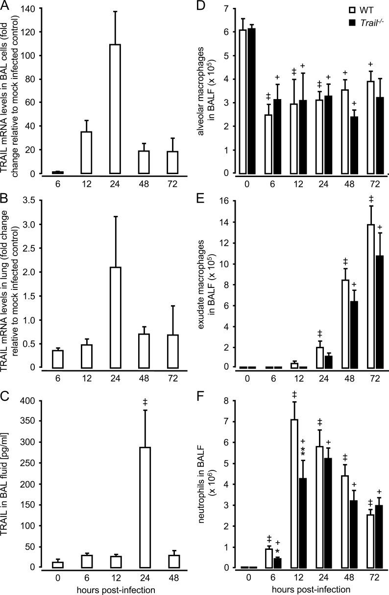 https://cdn.ncbi.nlm.nih.gov/pmc/blobs/0ff3/3478925/856b818cbed1/JEM_20120983_Fig2.jpg