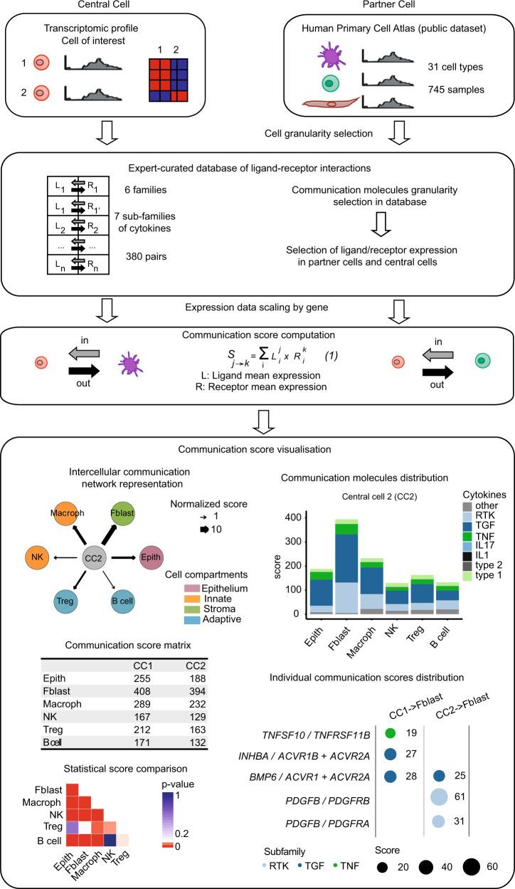 https://cdn.ncbi.nlm.nih.gov/pmc/blobs/0ff5/7889941/dc3e45598871/41467_2021_21244_Fig2_HTML.jpg