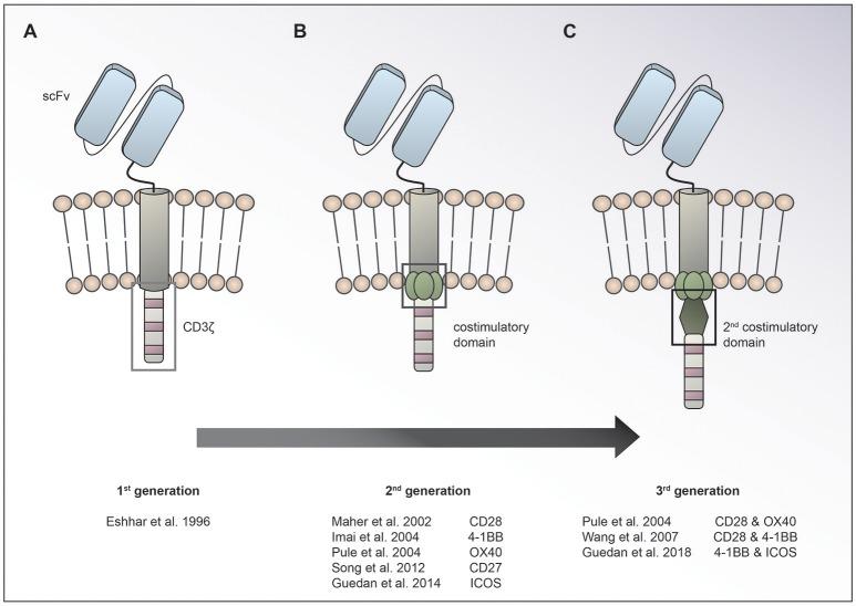 https://cdn.ncbi.nlm.nih.gov/pmc/blobs/1002/6235951/ebd26aad70a5/fimmu-09-02593-g0001.jpg