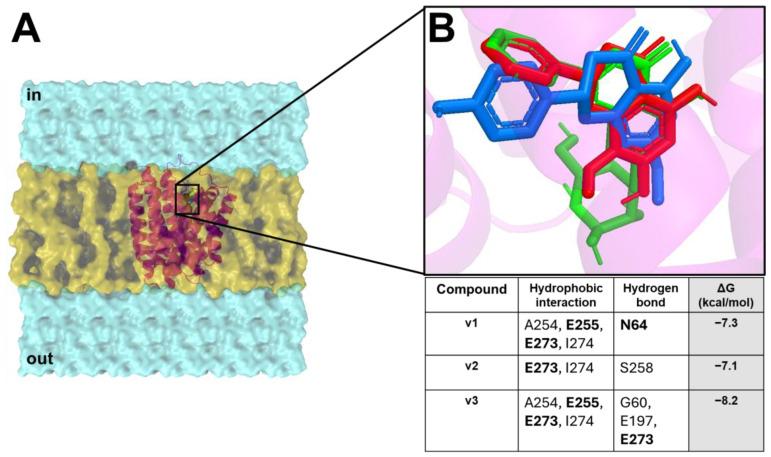 https://cdn.ncbi.nlm.nih.gov/pmc/blobs/1004/12299262/3a54f4b488a9/pharmaceuticals-18-01003-g003.jpg