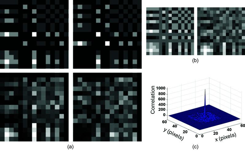https://cdn.ncbi.nlm.nih.gov/pmc/blobs/1039/12067338/170d9da52a75/s-32-00700-fig11.jpg