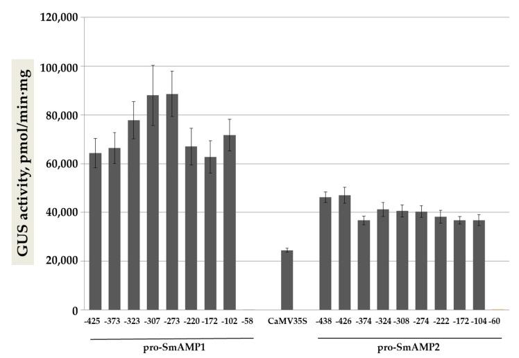 https://cdn.ncbi.nlm.nih.gov/pmc/blobs/104b/7760760/3db34cea5912/genes-11-01407-g003.jpg