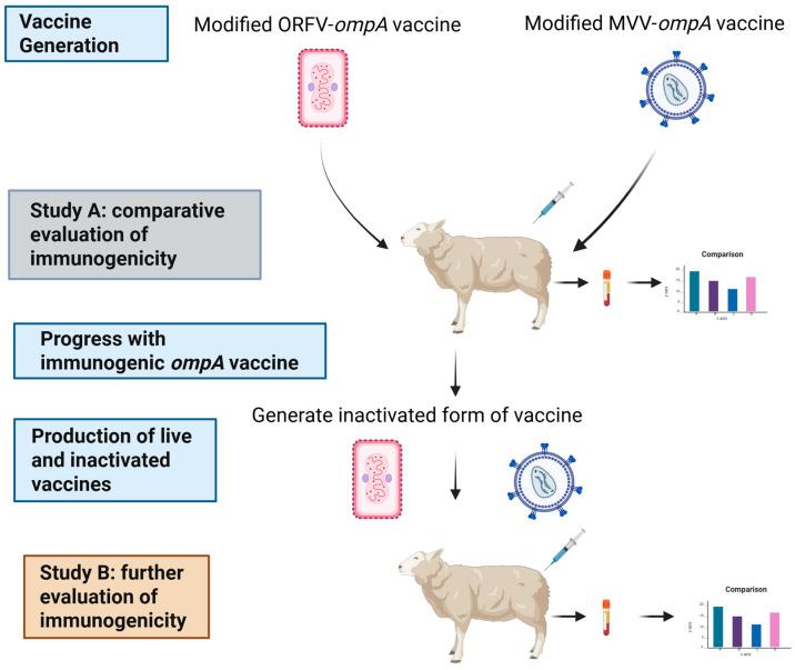 https://cdn.ncbi.nlm.nih.gov/pmc/blobs/106f/12197756/e6bed8d8d144/vaccines-13-00631-g001.jpg