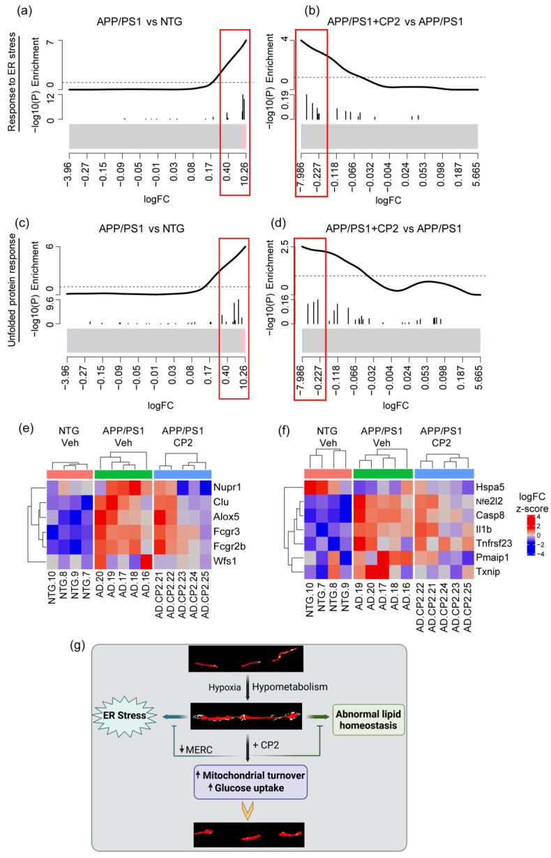 https://cdn.ncbi.nlm.nih.gov/pmc/blobs/107a/10137328/1bff6b125abb/cells-12-01111-g006.jpg