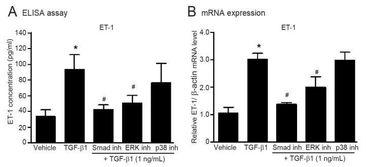 https://cdn.ncbi.nlm.nih.gov/pmc/blobs/1081/10138810/dacd879e2866/ijms-24-06972-g006.jpg