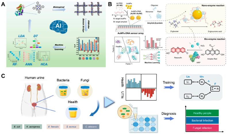 https://cdn.ncbi.nlm.nih.gov/pmc/blobs/10b1/12190681/01bb0e934085/biosensors-15-00344-g005.jpg
