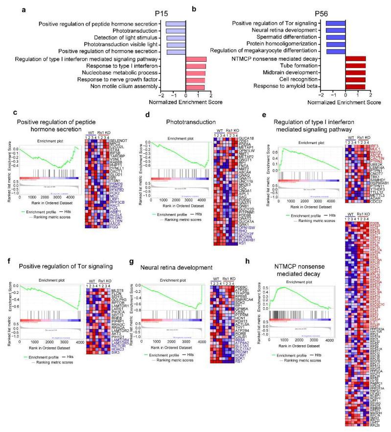 https://cdn.ncbi.nlm.nih.gov/pmc/blobs/10b3/9321393/514d548f6dc7/cells-11-02150-g003.jpg
