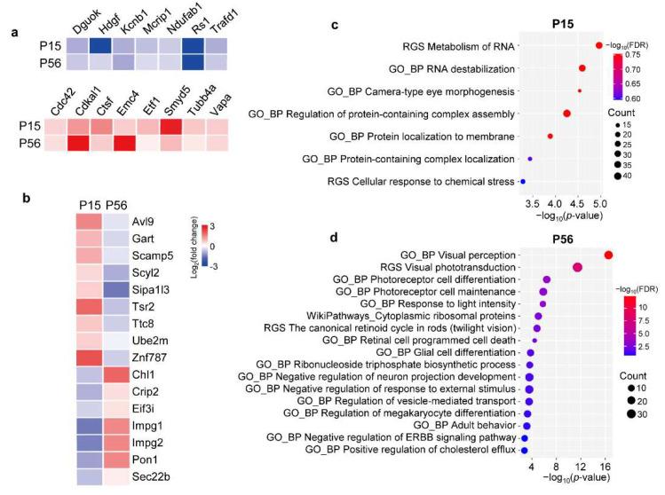 https://cdn.ncbi.nlm.nih.gov/pmc/blobs/10b3/9321393/69e483566153/cells-11-02150-g005.jpg