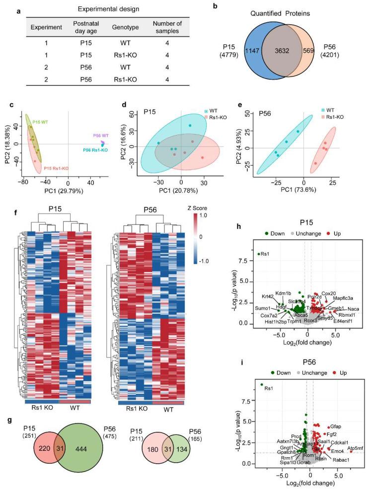 https://cdn.ncbi.nlm.nih.gov/pmc/blobs/10b3/9321393/91b9a6bdd3b7/cells-11-02150-g002.jpg