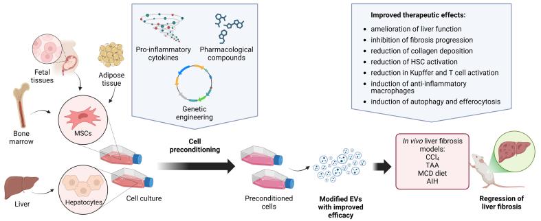 https://cdn.ncbi.nlm.nih.gov/pmc/blobs/10b5/12367467/9f0f4f096c5e/evcna-6-2-216.fig.3.jpg