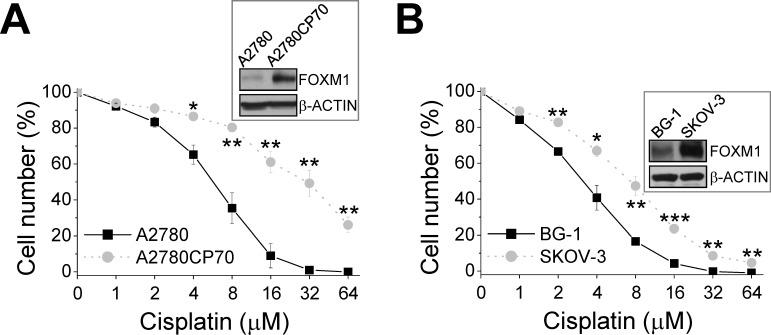 https://cdn.ncbi.nlm.nih.gov/pmc/blobs/10cd/4385856/9e3d85bad86f/oncotarget-06-2349-g003.jpg