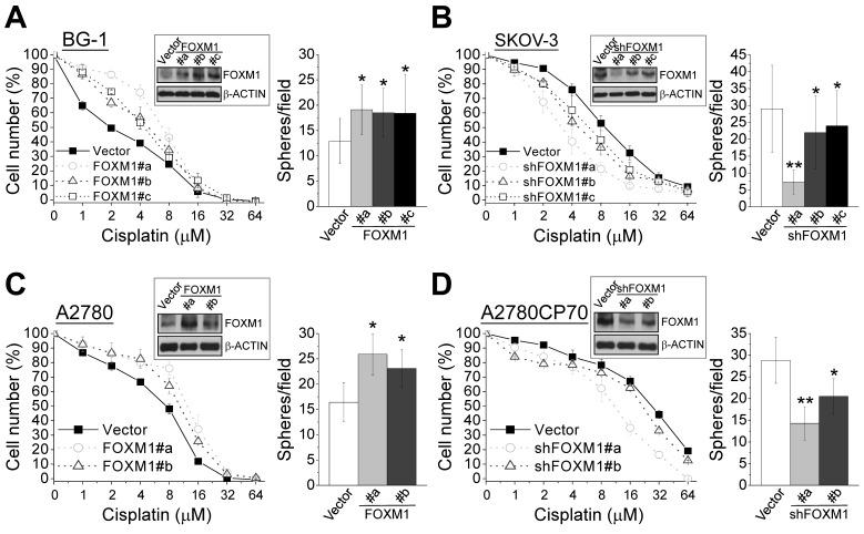 https://cdn.ncbi.nlm.nih.gov/pmc/blobs/10cd/4385856/f7ba4fed5ff8/oncotarget-06-2349-g005.jpg