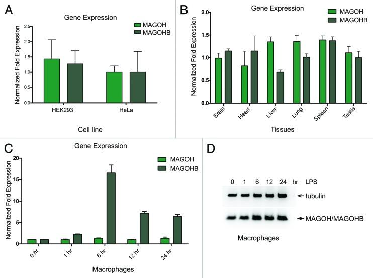 https://cdn.ncbi.nlm.nih.gov/pmc/blobs/10de/3817150/457d3c4190b2/rna-10-1291-g2.jpg