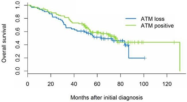 https://cdn.ncbi.nlm.nih.gov/pmc/blobs/10e5/5295384/9c194c97e4bf/oncotarget-07-57714-g008.jpg