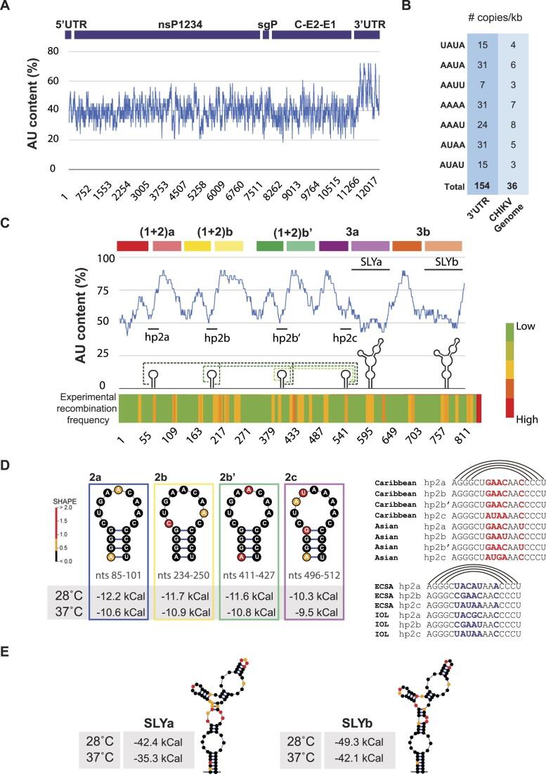 https://cdn.ncbi.nlm.nih.gov/pmc/blobs/10e7/11381336/3e2075c66de7/gkae650fig8.jpg