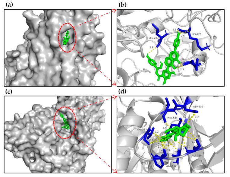 https://cdn.ncbi.nlm.nih.gov/pmc/blobs/110c/9182118/c6d05a0e2572/molecules-27-03381-g004.jpg