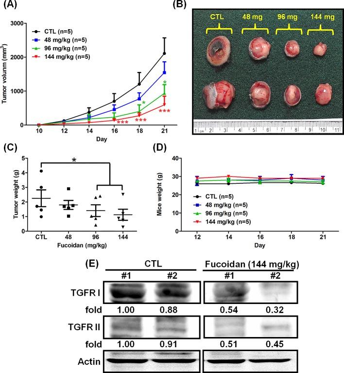 https://cdn.ncbi.nlm.nih.gov/pmc/blobs/1122/4202167/35ca72814dc2/oncotarget-05-7870-g001.jpg
