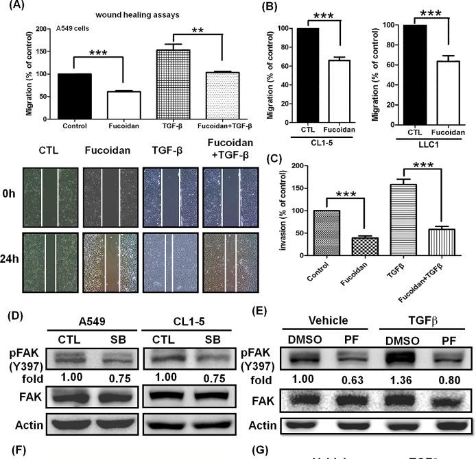 https://cdn.ncbi.nlm.nih.gov/pmc/blobs/1122/4202167/7ffb2c1cf038/oncotarget-05-7870-g007.jpg